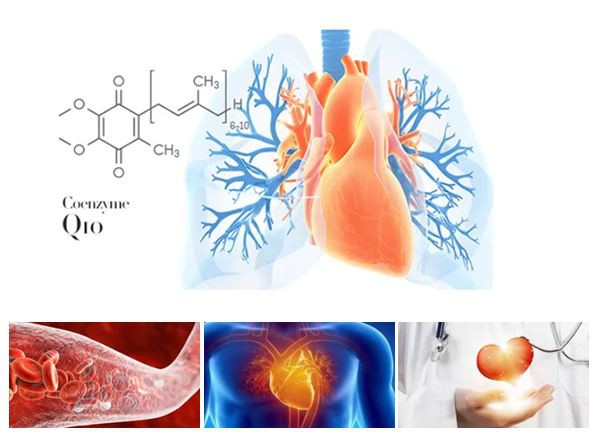 Coenzyme Q10 Powder